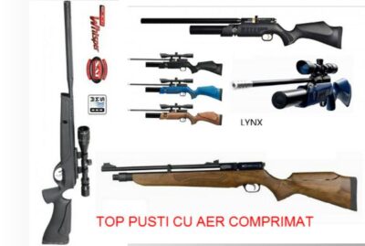 cele mai bune pusti cu aer comprimat puternice performante