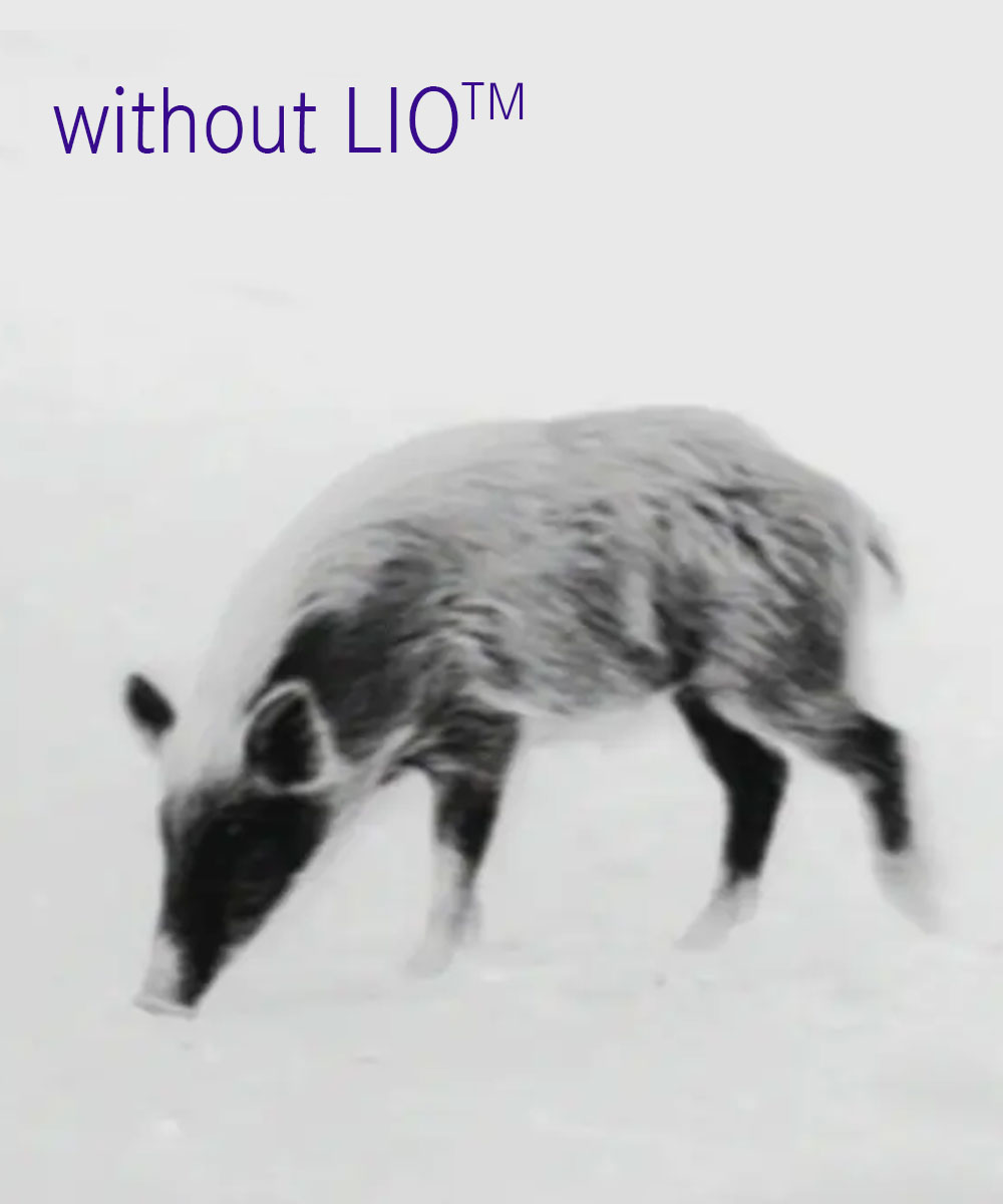 leica-calonox-2-view-without-lio