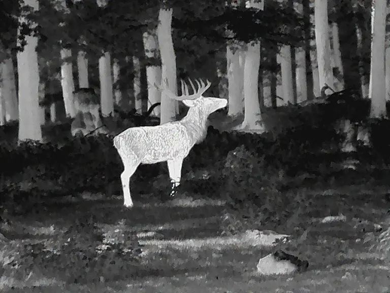 leica-calonox-2-view-claritate