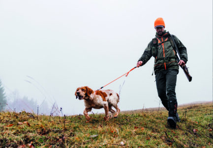 Bocanci Crispi de vanatoare si munte