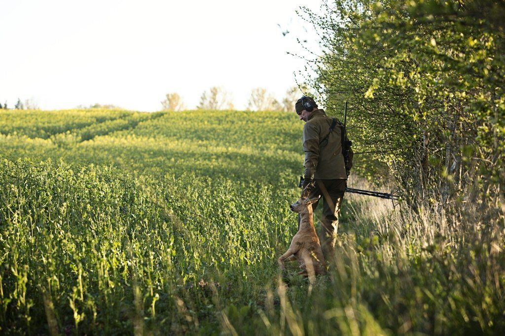 Pro Hunter softshell jacket