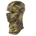 LYNX BALACLAVA