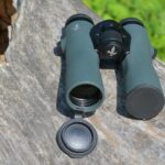 Binoclu Swarovski NL Pure 42