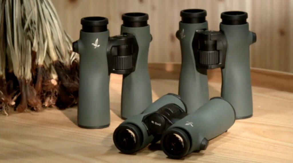 Binoclu Swarovski NL Pure 42