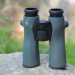 Binoclu Swarovski NL Pure 42