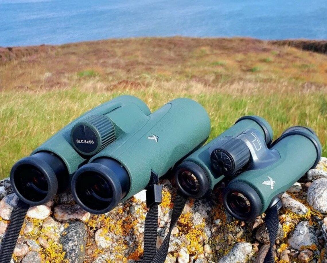 Binoclu Swarovski CL Companion 8x30