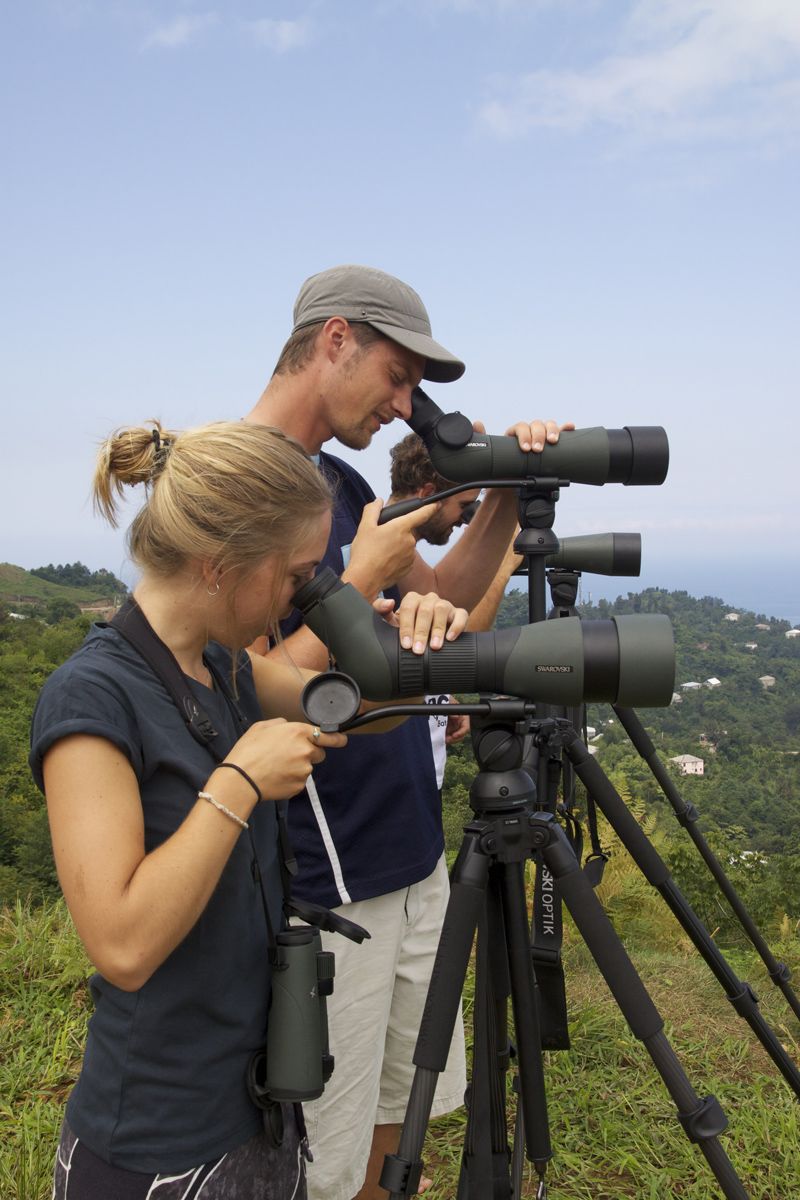 Luneta terestra Swarovski ATX/STX