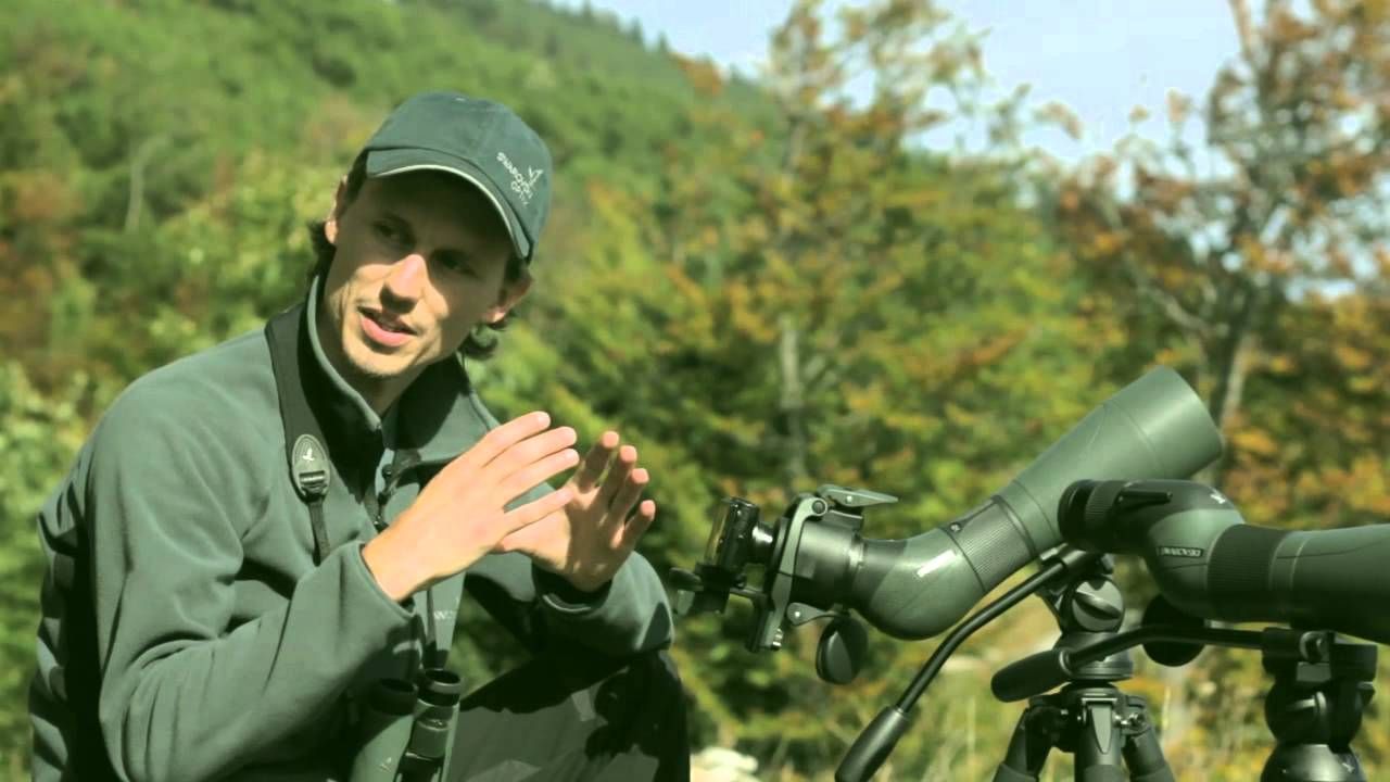 LUNETA TERESTRA SWAROVSKI ATS/STS