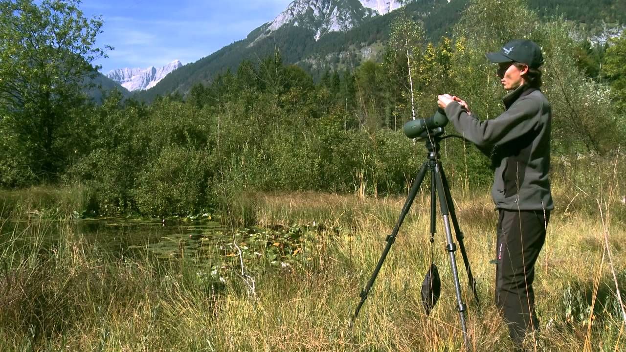 LUNETA TERESTRA SWAROVSKI ATS/STS