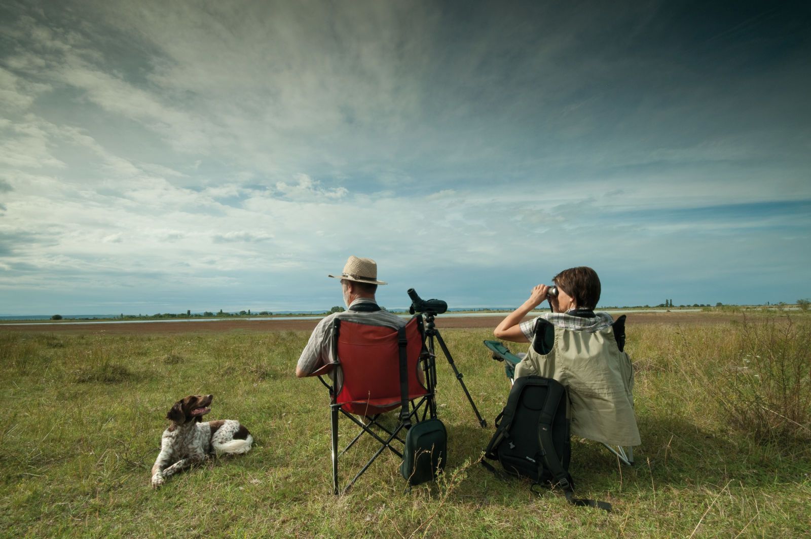 LUNETA TERESTRA SWAROVSKI ATS/STS
