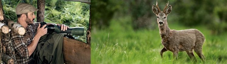 OCULAR LUNETA TERESTRA SWAROVSKI ATS/STS, ATM/STM, STR, CTS 25-50x W